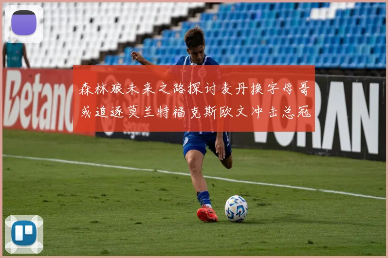 森林狼未来之路探讨麦丹换字母哥或追逐莫兰特福克斯欧文冲击总冠军
